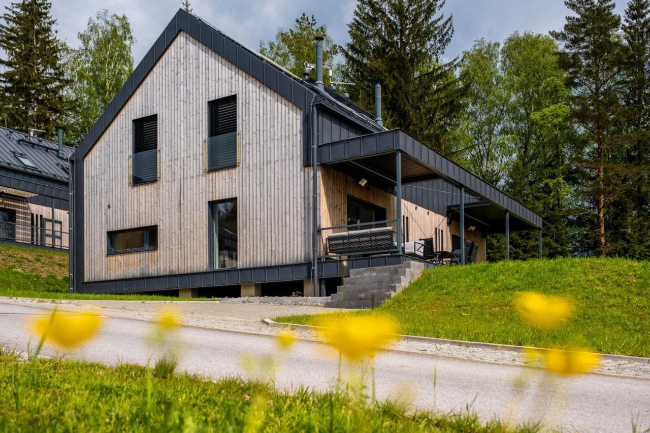 Holiday House U Hajenky 11P Lipno Home Липно-над-Влтавой Экстерьер фото